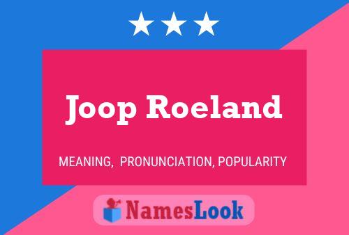 Pôster do nome Joop Roeland