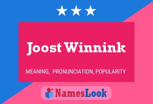 Pôster do nome Joost Winnink