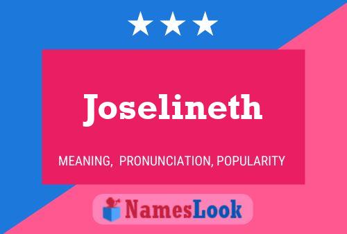 Pôster do nome Joselineth