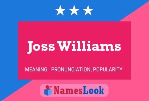 Pôster do nome Joss Williams