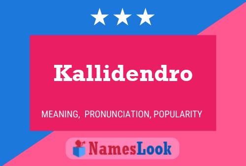 Pôster do nome Kallidendro