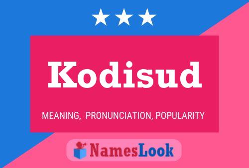 Pôster do nome Kodisud