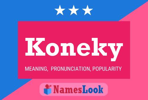 Pôster do nome Koneky