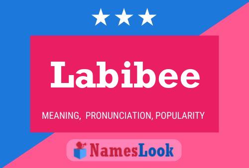 Pôster do nome Labibee