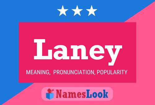 Pôster do nome Laney