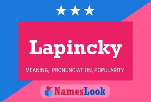 Pôster do nome Lapincky