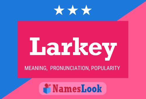 Pôster do nome Larkey