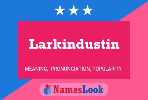 Pôster do nome Larkindustin