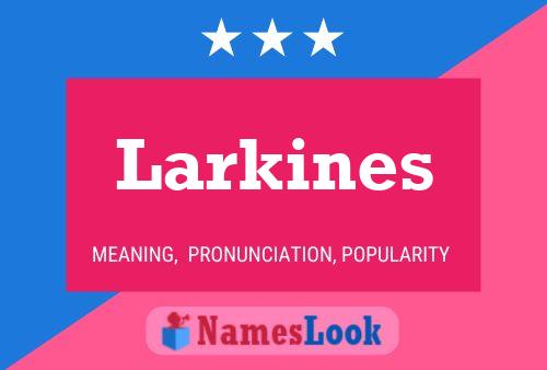 Pôster do nome Larkines