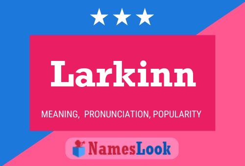 Pôster do nome Larkinn