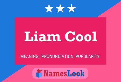 Pôster do nome Liam Cool