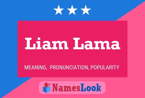 Pôster do nome Liam Lama