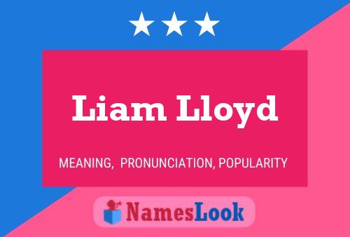 Pôster do nome Liam Lloyd