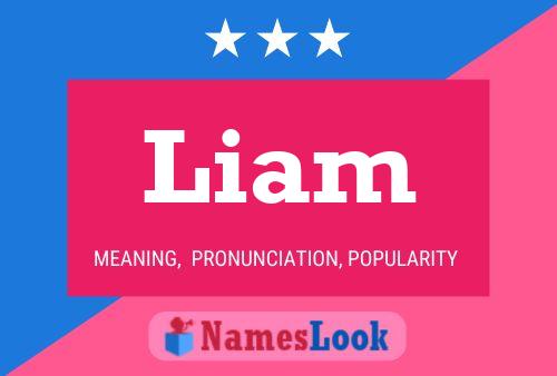 Pôster do nome Liam