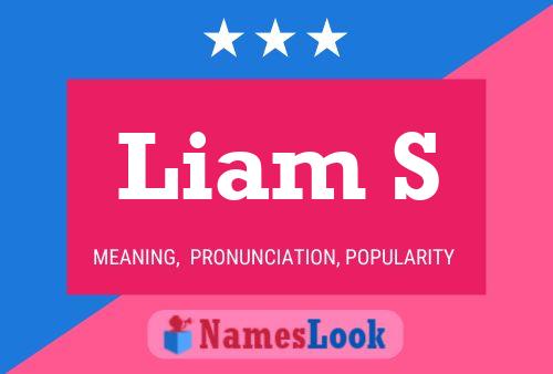 Pôster do nome Liam S