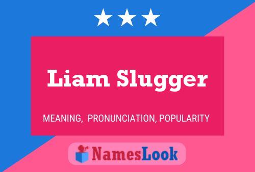 Pôster do nome Liam Slugger