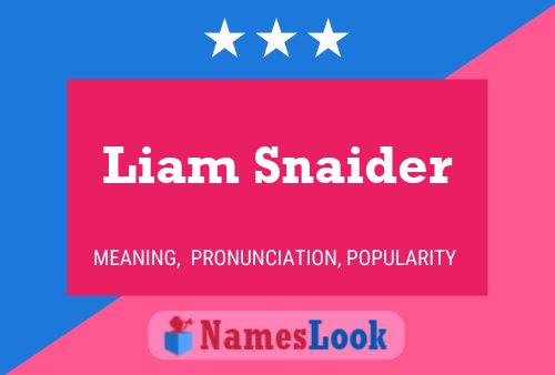 Pôster do nome Liam Snaider