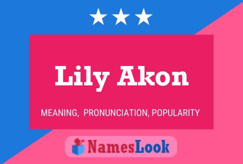 Pôster do nome Lily Akon