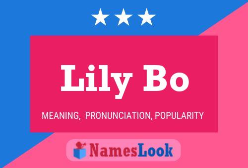 Pôster do nome Lily Bo