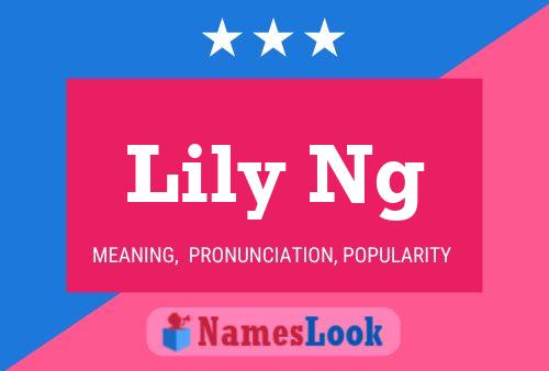 Pôster do nome Lily Ng