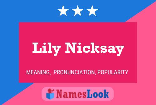 Pôster do nome Lily Nicksay