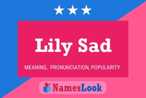 Pôster do nome Lily Sad