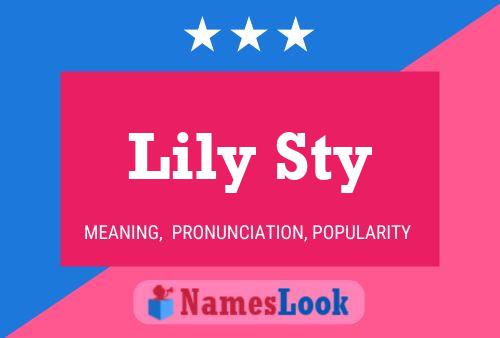 Pôster do nome Lily Sty