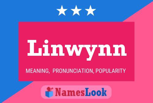 Pôster do nome Linwynn