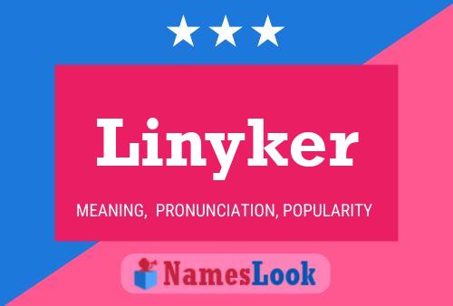 Pôster do nome Linyker