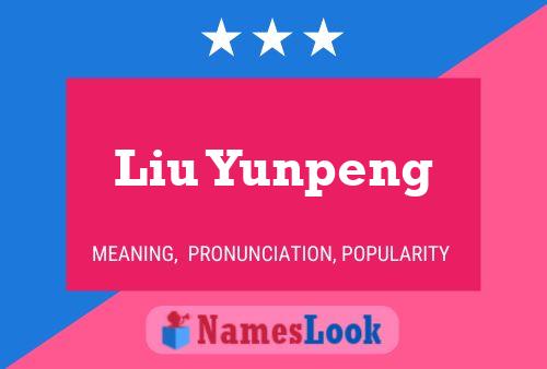 Pôster do nome Liu Yunpeng