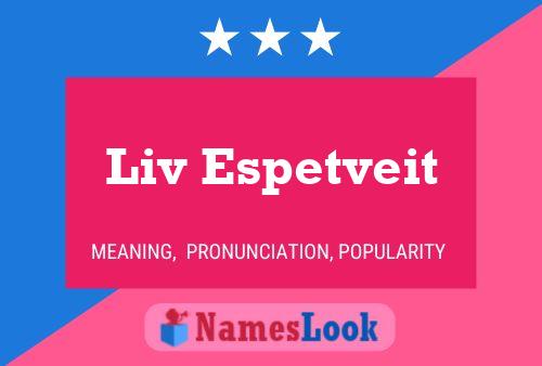 Pôster do nome Liv Espetveit