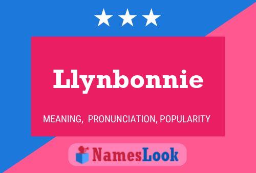 Pôster do nome Llynbonnie