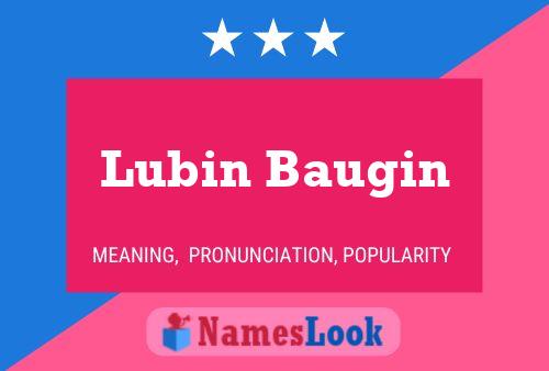 Pôster do nome Lubin Baugin