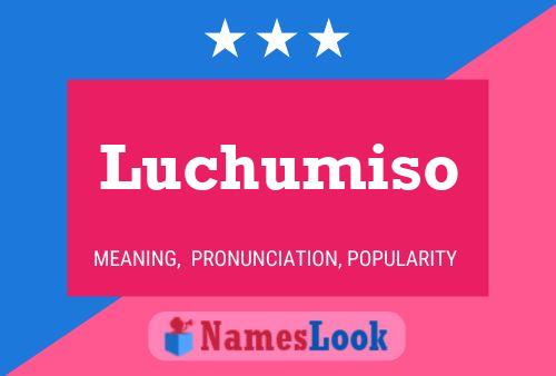 Pôster do nome Luchumiso