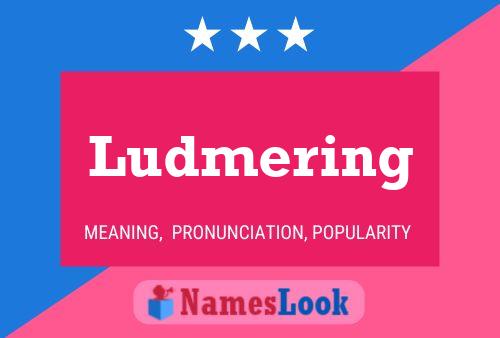 Pôster do nome Ludmering