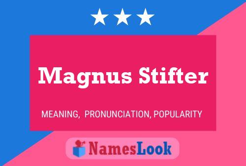 Pôster do nome Magnus Stifter