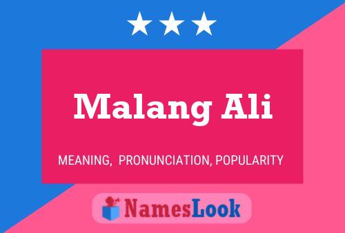 Pôster do nome Malang Ali