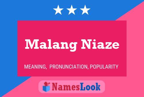 Pôster do nome Malang Niaze