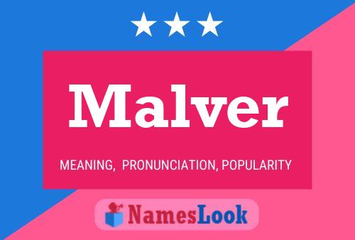 Pôster do nome Malver