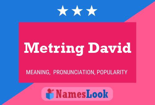 Pôster do nome Metring David