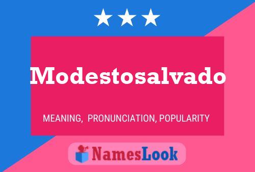 Pôster do nome Modestosalvado