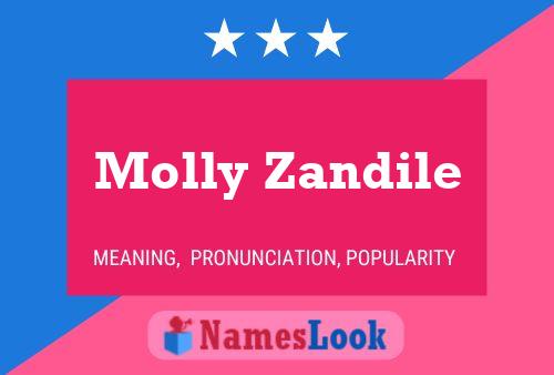 Pôster do nome Molly Zandile