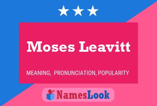 Pôster do nome Moses Leavitt