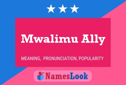 Pôster do nome Mwalimu Ally