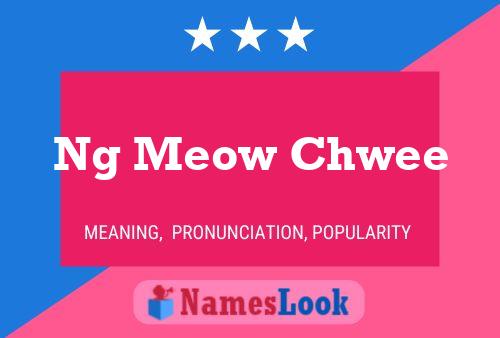 Pôster do nome Ng Meow Chwee