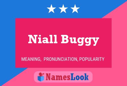 Pôster do nome Niall Buggy