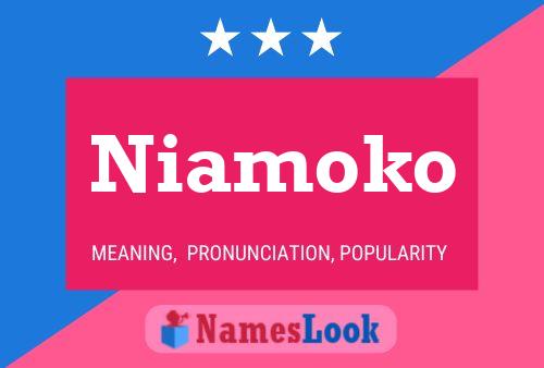 Pôster do nome Niamoko