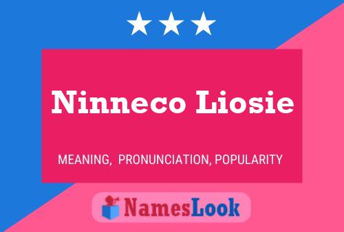 Pôster do nome Ninneco Liosie