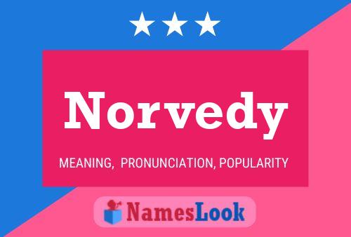 Pôster do nome Norvedy