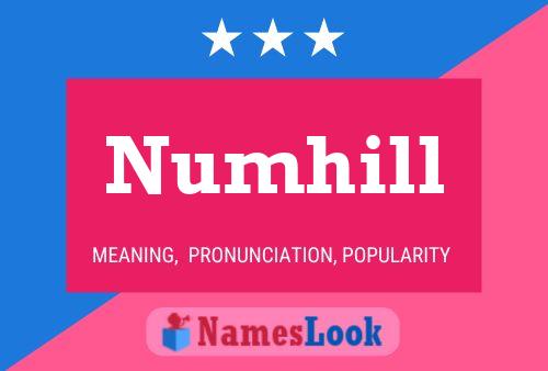 Pôster do nome Numhill